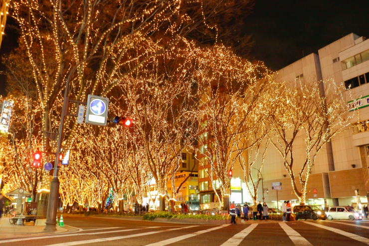 12/6〜12/31までの26日間、仙台の一大イベント「SENDAI光のページェント」が開催されます♫