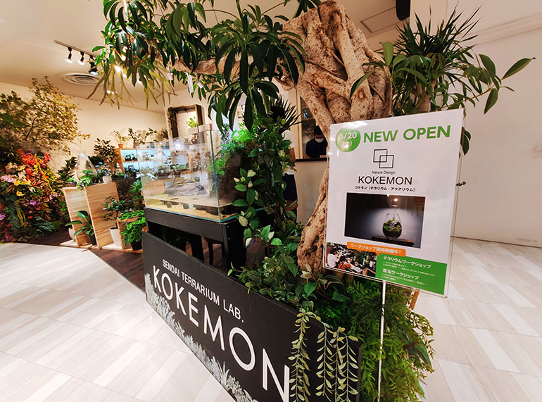 仙台パルコの地下1階に不思議な植物やテラリウムを扱うお店が出店しています！期間限定ショップ「KOKEMON（コケモン）」