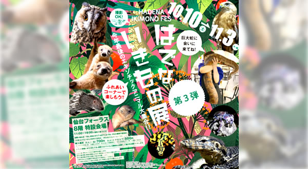 仙台フォーラスで『はでないきもの展　第3弾』が開催されます！