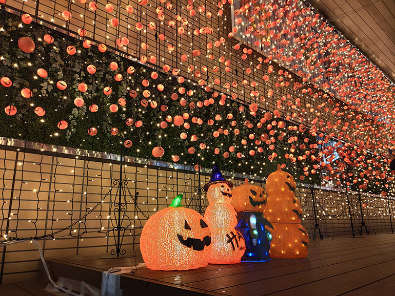 『いずみハロウィン2020』の会場に行ってきました！かぼちゃライトがたくさんありましたよ～！