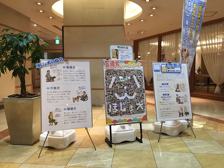 エスパル仙台に、日本盲導犬協会による補助犬PRコーナーが設置されたみたい！
