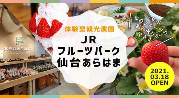【体験型観光農園】JRフルーツパーク仙台あらはまに行ってきました！カフェにレストラン、年中体験できるフルーツ狩りも！