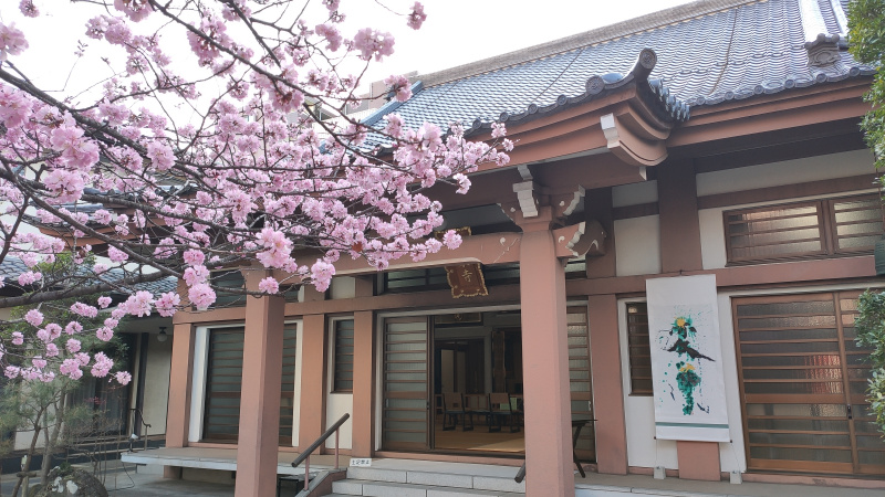 必見！榴岡にある徳泉寺で4月2日より『書道個展と桜のライトアップ』が行われるみたい！