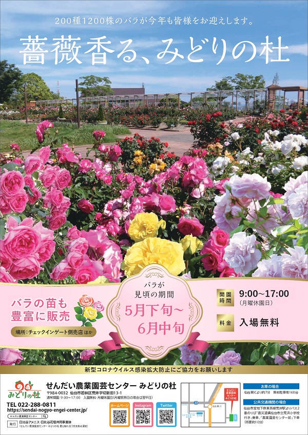 せんだい農業園芸センターで『バラ祭り2021』が開催されているみたい！
