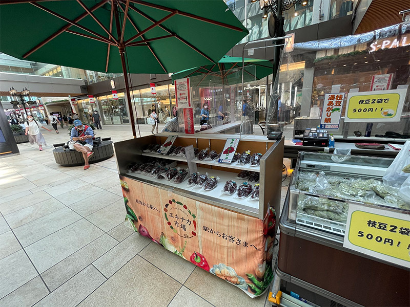 仙台駅東口でエキナカ市場が開催中！ぶどうがお買い得ですよー！