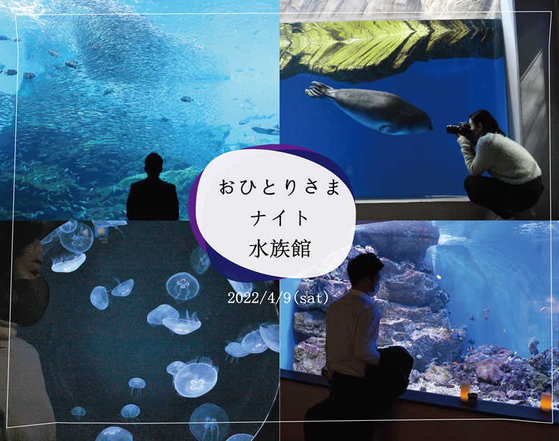 仙台うみの杜水族館で、今年も『おひとりさまナイト水族館』が開催されるみたい！