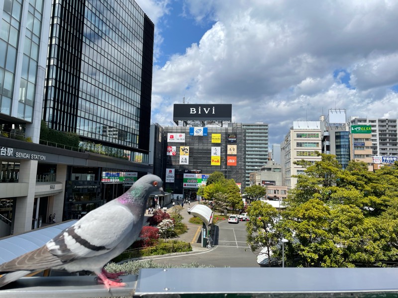 『BiVi仙台駅東口』の様子が少し変わったみたい。