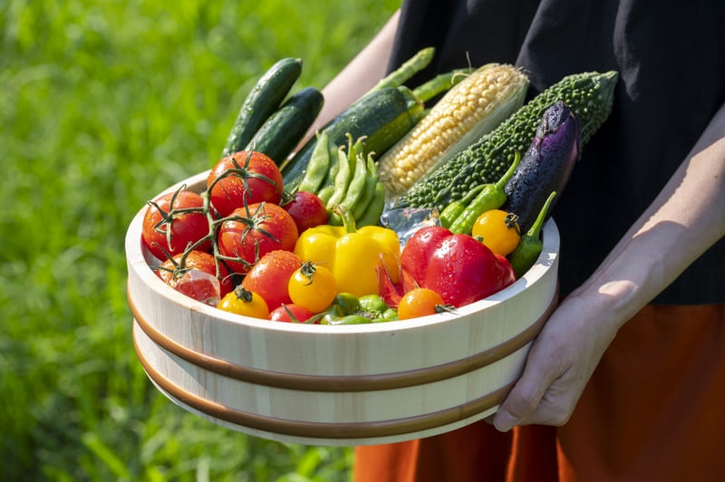 JRフルーツパークあらはまで『第一弾！夏野菜収穫体験』を開催するみたい！