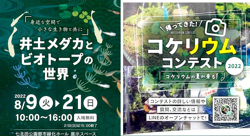 七北田公園都市緑化ホールで『井土メダカとビオトープの世界』『コケリウムコンテスト2022』が開催！